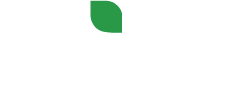 Ulus Çevre